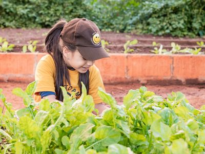 Educacao Ambiental